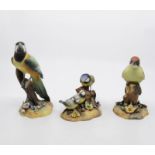 Three Royal Crown Derby bird figures in cases, all in good condition, green woodpecker, blue tit,