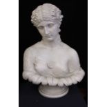 A plaster bust of a  lady in classical garb, height approx 70cm