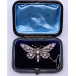 An Edwardian precious yellow metal and diamond butterfly brooch, claw set numerous graduated old cut