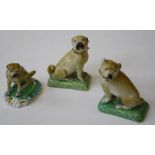 A near pair of 19th century Continental porcelain pug dogs, each modelled seated on grassy cushion