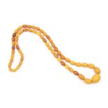 A butterscotch amber bead necklace, comprising oval beads the largest approx 25 x 17mm the