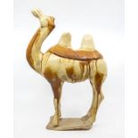 A Tang Dynasty amber and straw-coloured pottery model of a Camel, standing four square on a