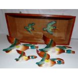 2 Beswick birds mounted in a wooden box with a glass front  box size 66.5cm x 29cm x 19.5cm and 4