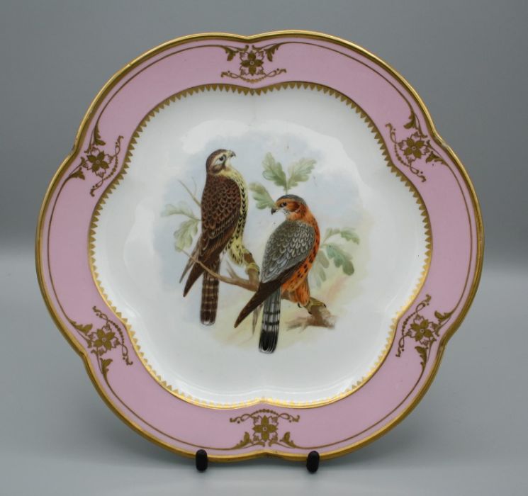 A mid 19th century bone china lobed plate, polychrome decorated with a pair of hawks within pink and