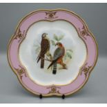 A mid 19th century bone china lobed plate, polychrome decorated with a pair of hawks within pink and
