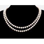 A cultured pearl and 9ct gold necklace, comprising a single row of regular pearls measuring approx