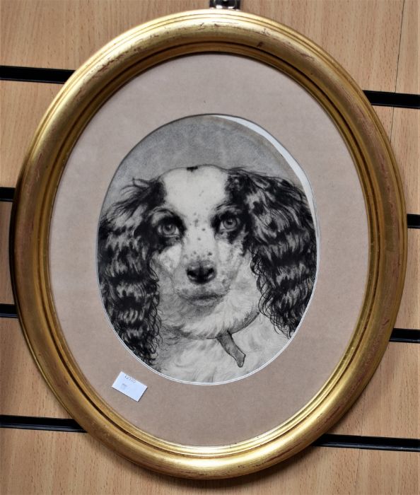 In the manner of  Conradyn Cunaeus (1828-1895), a sketch of a spaniel's face, 22cm x 19cm, signed