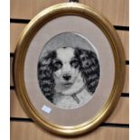 In the manner of  Conradyn Cunaeus (1828-1895), a sketch of a spaniel's face, 22cm x 19cm, signed
