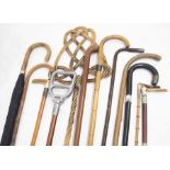 Quantity of walking sticks including thre riding crops with antler handles (hunting crops)