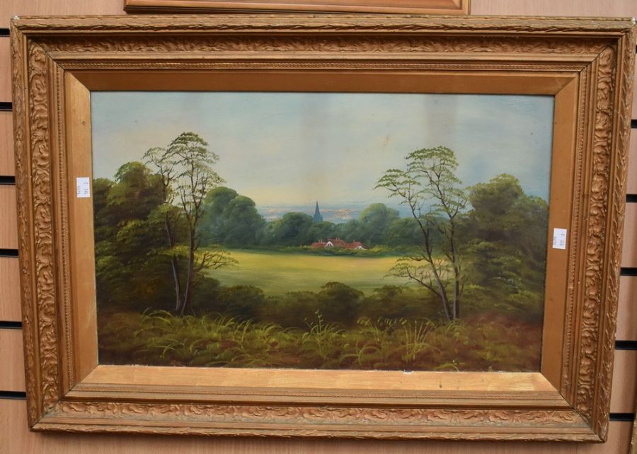 Two early 20th Century oils on canvas, depicting country scenes, framed and unsigned