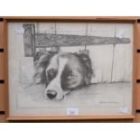 A Pollyanna Pickering framed print of a Collie dog