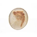 An Edwardian shell cameo brooch, carved with a side portrait of a female with foliage to hair,