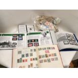 A collection of early to late 20th Century postage stamps in albums and loose, worldwide along