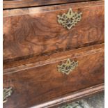 A scarce Georgian highly figured front Elm chest of drawers