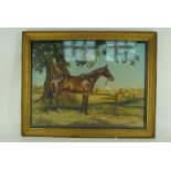 Oil on canvas by Susan Terrot, a bay hunter in a field, signed and dated 1929 Dimensions 41cm x