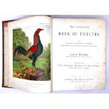 Wright (Lewis). The Illustrated Book of Poultry. 50 chromolitho plates, half calf binding, this