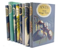 New Naturalist Monographs. Nos 8-15. Wragge Morley, (Derek) Ants. 1953 + Tinbergen (Niko) The
