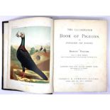 Fulton (Robert) The Illustrated Book of Pigeons, edited by Lewis Wright, 50 chromolitho plates after