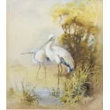 W E Powell (early 20th Century) A pair of Storks in riverscape watercolour, 14 x 12.5cm  signed