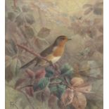 19th Century School Study of a Robin watercolour, 27 x 24cm signed lower left with monogram JCK