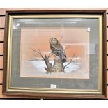 Derby interest John Straw watercolour of 'A Winter Owl' and other bird pictures by John Straw