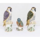 Three boxed Royal Crown Derby paperweights gold stoppers - Peregrine Falcon, Kedleston Kingfisher