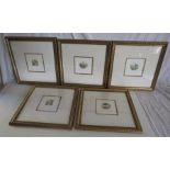 5 Stephen Whittle limited edition prints in gilt frames , each signed and numbered . Frame size 41cm