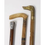 Walking sticks - A novelty walking cane, with brass dog's head handle, approx 92cm, unscrews into