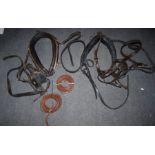 2 x leather Horse / Mule bridal headcollars and horse yokes with 2 leather walking leads