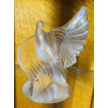 Lalique, a contemporary frosted and clear glass model of a bird, wings outstretched, no 11749,