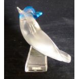 Pimlico tete. a contemporary Lalique crystal clear, frosted and blue crystal model of a jay, on