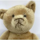 Antique 23” German golden cropped fur teddy bear with Boot Button Eyes articulated and is a mid