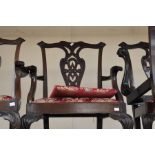 Set of six 1920s mahogany dining chairs, including two carvers, having scroll backs, carved legs and