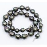 A single strand Tahitian pearl and 9ct white gold  necklace, comp[rising graduated misshaped