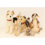 Steiff: A collection of six unboxed Steiff animals, to comprise: Foxy, Greta, one other dog, two
