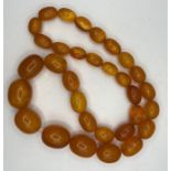 A strand of Amber beads, without clasp, 68cms in length. Gross weight approximately 115 grams.