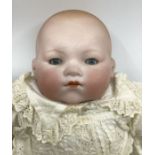 Antique Doll; German Armand Marseille large  341 Dream baby bisque flange neck head ( good order