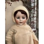 An Antique German bisque doll oversized large Mannequin doll  Gustav Wohllebaw Consigned by original