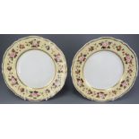 Two early nineteenth century porcelain hand-painted Chamberlain Worcester plates, c. 1820.  Each