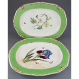 A pair of early nineteenth century Bloor Derby porcelain hand-painted and titled botanical dishes on