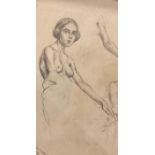 Modern British A E Proctor 1885-1935 a collection of eleven pencil sketches one proported to be