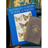 Mixed collection of books, mostly late-Victorian, to include Butterflies and Moths at Home and