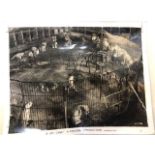 Press film photograph from The Big Cage, 1933. Press stamp EE Haynes on reverse. 20X26 CM