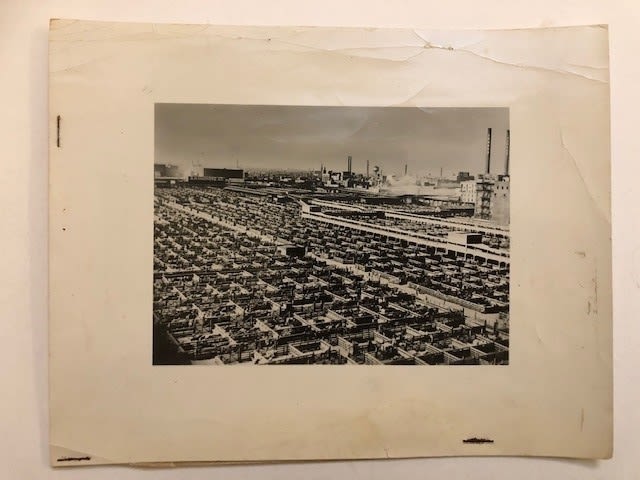 Chicago press photograph of cattle pens. Ariel view with caption on reverse. Includes - Image 3 of 6