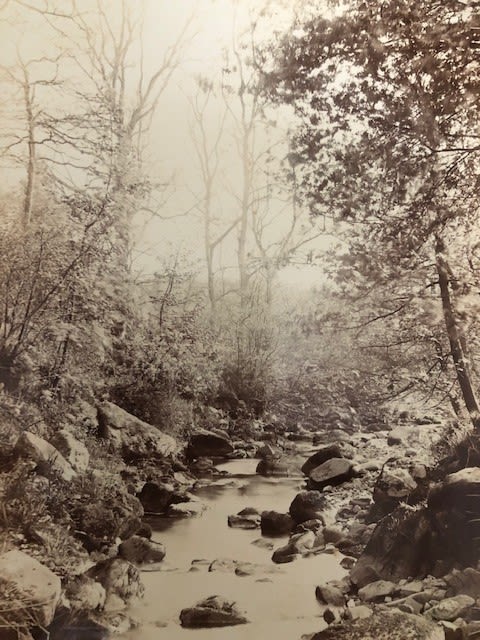 Photographs mounted, early 20thC. 2 handwritten on reverse, WH Redding, Hanley. 20X25 CM - Image 4 of 10