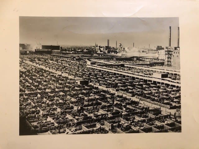 Chicago press photograph of cattle pens. Ariel view with caption on reverse. Includes - Image 2 of 6