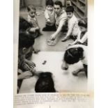 NYC Education with children and Turtles and Lizards. Press photograph 1960s. Plus corresponding