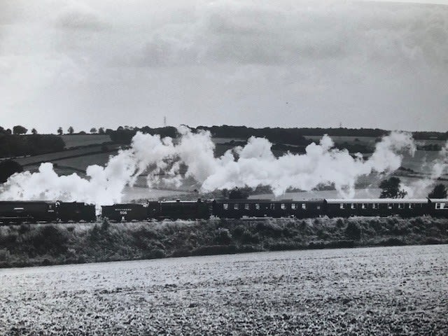 Train by Herbie Knotts Approx 40x30cm