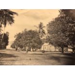 Photograph c1880 albumen of trees and village figures. Plus similar from Henarathgoda Botanical