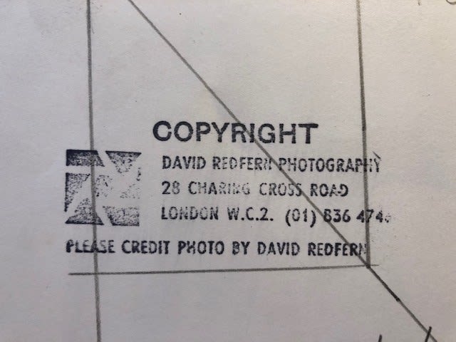 Frank Zappa photograph by David Redfern. Silver gelatin stamp on reverse 20x25 cm - Image 5 of 5